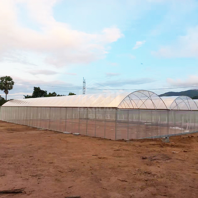 BAOLIDA 24x40m Single-Span Greenhouse with 150micron PE Film