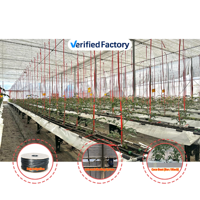 Multi-Span Greenhouse 6.8m Span with 100-200micron PE Film