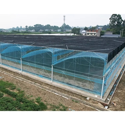 6m-12m Multi-Span Greenhouse Kit with PE Film and 10-Year Warranty