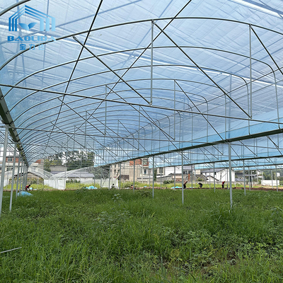 6m-12m Multi-Span Greenhouse Kit with PE Film and 10-Year Warranty