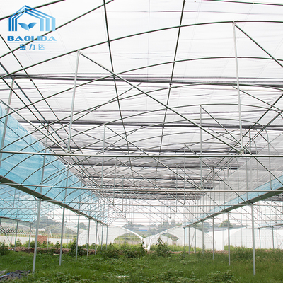 6m-12m Multi-Span Greenhouse Kit with PE Film and 10-Year Warranty