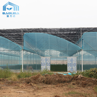 6m-12m Multi-Span Greenhouse Kit with PE Film and 10-Year Warranty