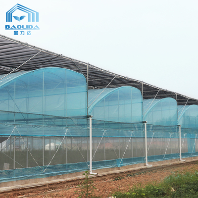 6m-12m Multi-Span Greenhouse Kit with PE Film and 10-Year Warranty