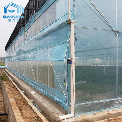 6m-12m Multi-Span Greenhouse Kit with PE Film and 10-Year Warranty