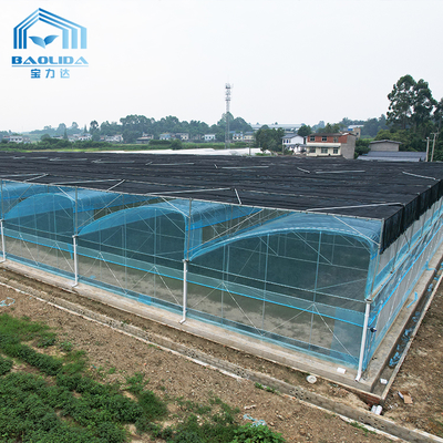 Multi-Span Agricultural Greenhouse Kit 6m-12m with 10-Year Warranty