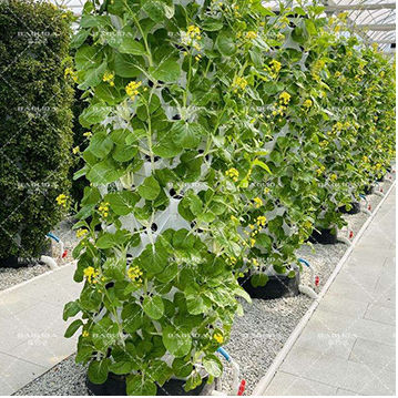 30L 6 Tier 48 Holes Aeroponic Growing Tower Garden Vertical Hydroponic System for Strawberry