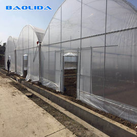 PE Film Covering Heavy Duty Plastic Greenhouse / Prefabricated Poly Tech Greenhouse