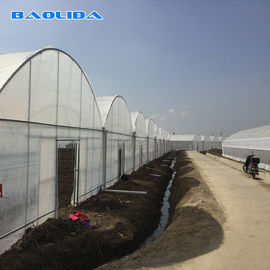 PE Film Covering Heavy Duty Plastic Greenhouse / Prefabricated Poly Tech Greenhouse