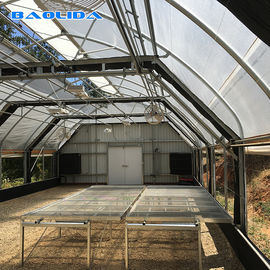 Fully Automated Blackout Greenhouse / Polyethylene Film Greenhouse Sides Ventilation