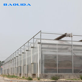 Commercial Polycarbonate Sheet Greenhouse / PC Sheet Greenhouse Customized Material
