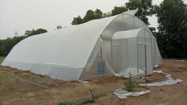 Hot Dip Galvanized Steel Plastic Film Greenhouse Grow Tent Size Customized