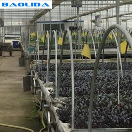 Galvanized Greenhouse Rolling Benches / Greenhouse Benches And Tables