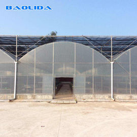 Sheet Covering Plastic Film Greenhouse For Tomatoes Agricultural Multi Span