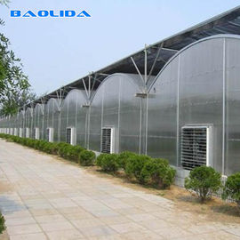 Sheet Covering Plastic Film Greenhouse For Tomatoes Agricultural Multi Span