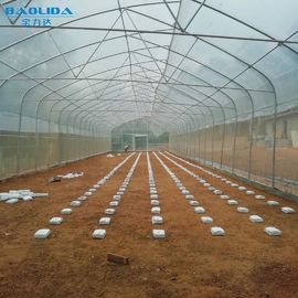 Vegetable Single Span Greenhouse Polycarbonate Sheet Covering