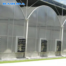 Oem Available Single / Multi Span Negative Fans Greenhouse Cooling System