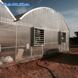 Oem Available Single / Multi Span Negative Fans Greenhouse Cooling System