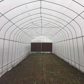 Vegetables Plant Polyethylene Film Greenhouse With Cooling System Easy Install