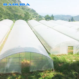 Fruits Growing Agricultural Polyethylene Film Greenhouse Hot Dip Galvanized