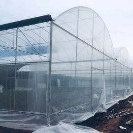 Agricultural Polyethylene Foil Greenhouse Hot Galvanized Steel Structure Multi Span Greenhouse
