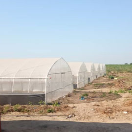 Single Span Plastic Tunnel Greenhouse Polyethylene Farm Agriculture Support