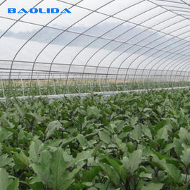 Agricultural PE Film Polyethylene Plastic Sheeting Greenhouse Commercial