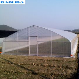 Single Span Plastic Tunnel Greenhouse Polyethylene Farm Agriculture Support