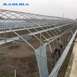 Farm Tunnel Polyethylene Film Greenhouse / Clear Plastic Greenhouse For Various Vegetables