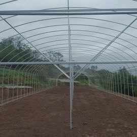 Single Span Greenhouse Tunnel Plastic Film Covering Flower Vegetable Support