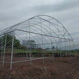 Single Span Greenhouse Tunnel Plastic Film Covering Flower Vegetable Support