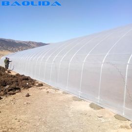 Polyethylene Film Singlespan Growing Greenhouse For Vegetables Fruits