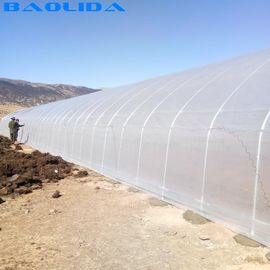 Vegetable Growing Plastic Tunnel Greenhouse Ultraviolet Proof