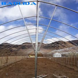Stable Structure Polyethylene Film Greenhouse / Vegetable Tomato Plant Greenhouse
