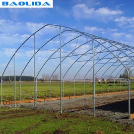 Large Mental Material Single Span Tunnel Plastic Greenhouse Uv Resistant Clear Sheeting