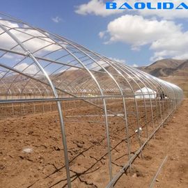 Single Span Steel Frame Tunnel  Greenhouse With Plastic Covering