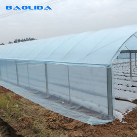 Polyethylene Film Singlespan Growing Greenhouse For Vegetables Fruits