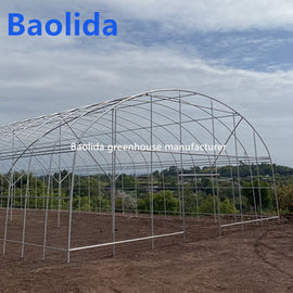 UV Treated PE Film Tunnel Poly Greenhouse Farming Strong Sturdy Structure