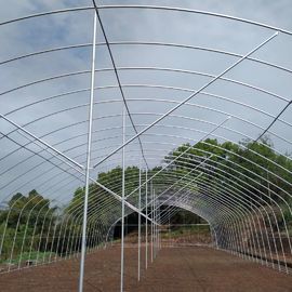 UV Treated PE Film Tunnel Poly Greenhouse Farming Strong Sturdy Structure