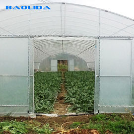 Single Span Polytunnel Greenhouse Kits Farming Small Or Large Size Optional