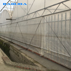 Reinforced Steel Pipe Multi Span Greenhouse For Agricultural Crops Growth