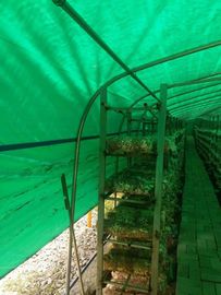 Tunnel Polyethylene Foil Greenhouse For Mushroom Low Transmission Black And White