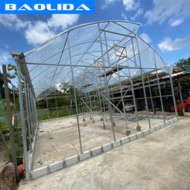 Vegetables Tunnel Plastic Greenhouse Single Span Promote Crop Growth