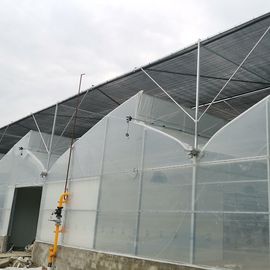 Multi Span Tunnel Plastic Tomato Greenhouse Stable Structure Prefabricated Multi Span Greenhouse