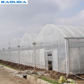Large Size Multi Span Greenhouse / Commercial Pe Film Greenhouse Sheet Cover
