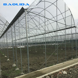 Strong Structure Heavy Duty Plastic Greenhouse / Plastic Tomato Greenhouse