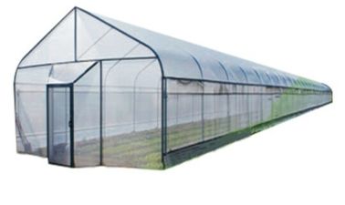 Clear Plastic  Film Single-span Greenhouse For Agriculture Stable Structure Frame