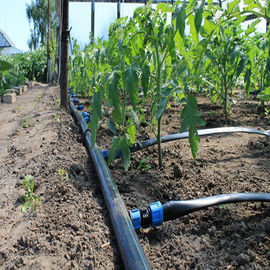 Farm Greenhouse Irrigation System / Sprayer Polytunnel Watering System