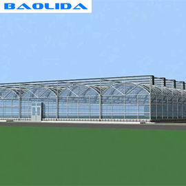 High Strong Sturdy Plastic Greenhouse / Greenhouse For Tropical Climate