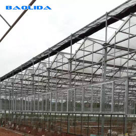 Plastic Commercial Polycarbonate Greenhouse Kits Steel Structure Sturdy
