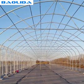 Agricultural High Hoop Tent Greenhouse Steel Frame For Tomato Growth